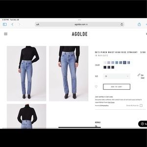 Agolde 90s Pinch Waist Jean